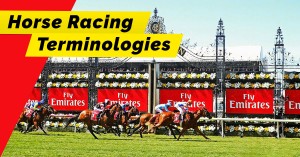 Beginner's Guide To Horse Racing: Horse Racing Terminology - Acebet99